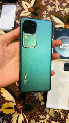 vivo