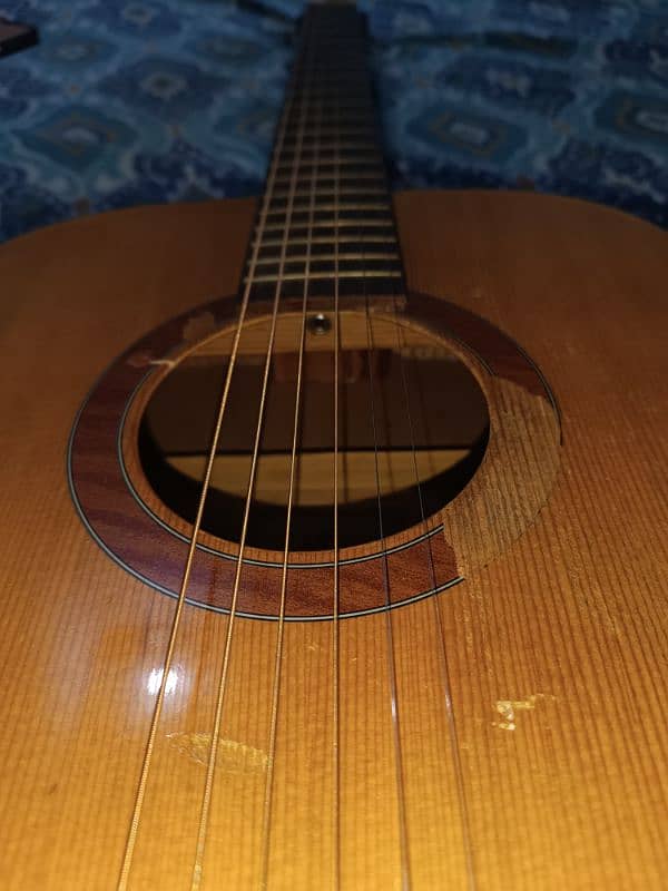 acoustic guitar 11