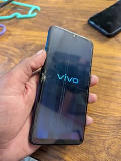 vivo