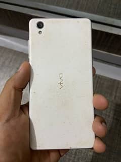 vivo