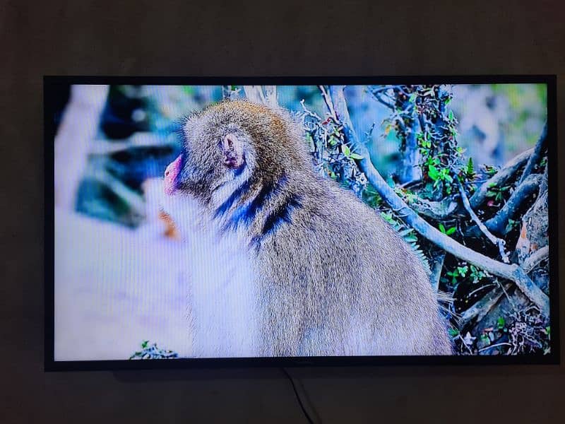 Samsung 40-Inch Smart LED TV, Excellent Condition, Great Price! 1