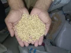 seed for wheat crop