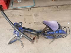 new cycle for sale