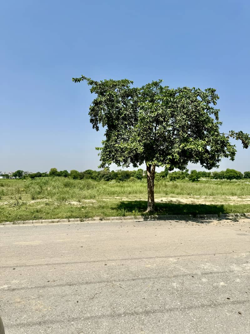 Beautiful Plot For Sale View Of Whole Abbottabad 5