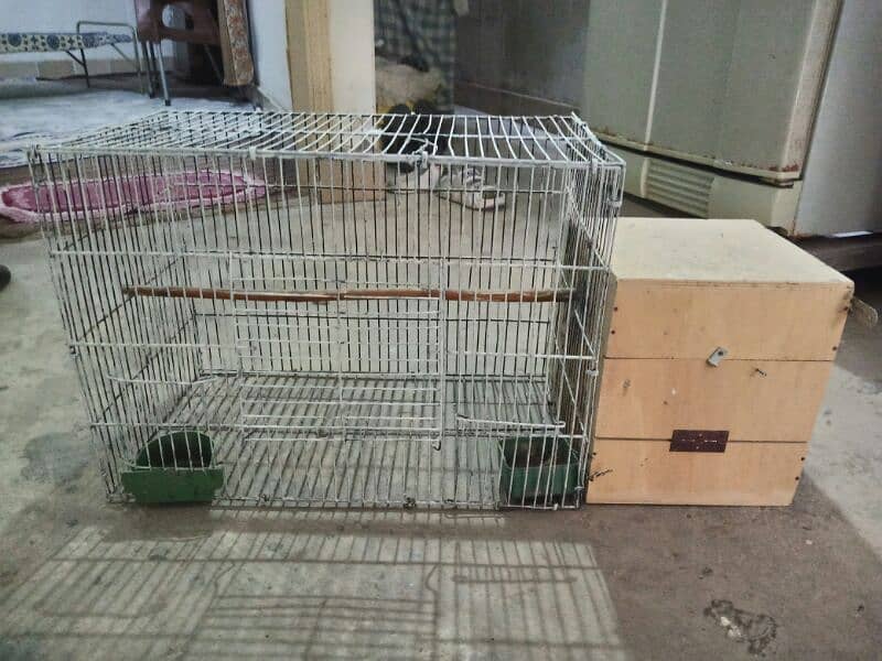 Cocktail cage with box 1