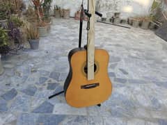 Brand New Acoustic Guitar With Bag And Picks