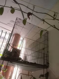 Raw breeding cage in almost new condition for sale