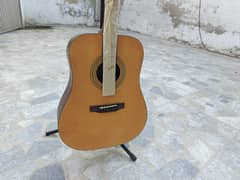 Acoustic Guitar