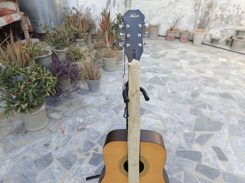 Acoustic Guitar 5