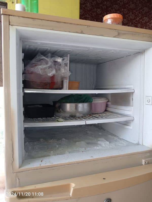 PEL Refrigerator 1