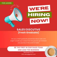 SALES EXECUTIVE