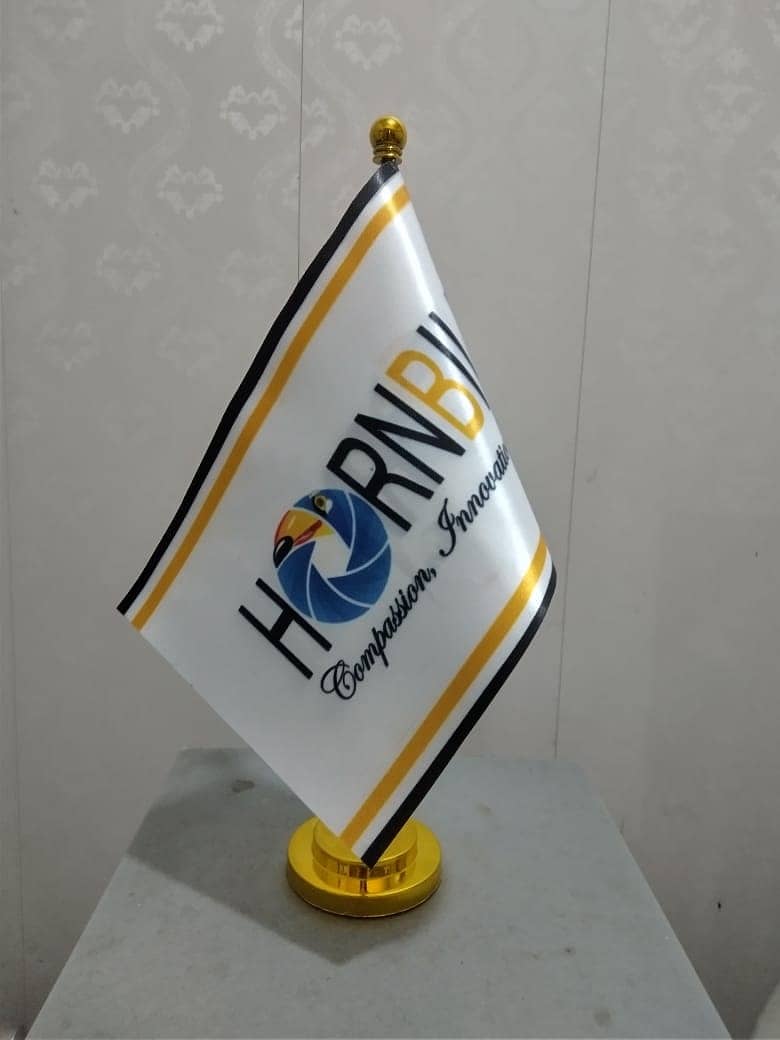 Car flag pole , Logo & Country Flags &Pole for Visa Consultancy Office 12