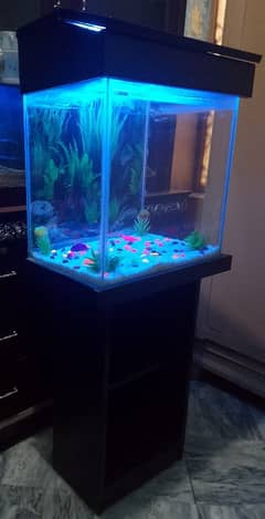 aquarium for sale