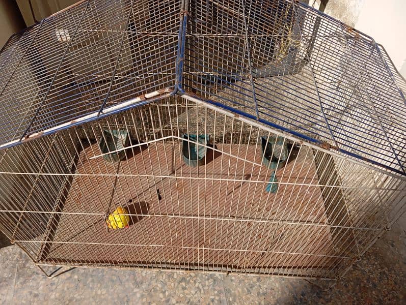 birds cage for sale 0