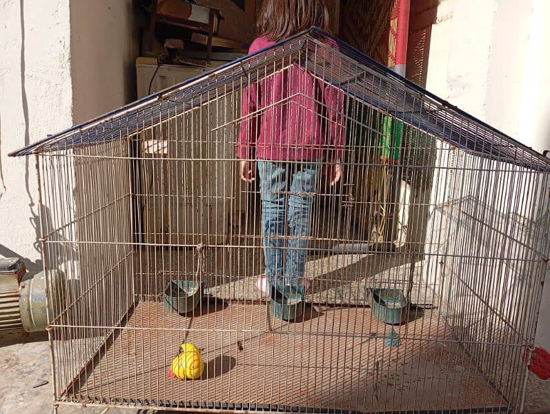 birds cage for sale 1