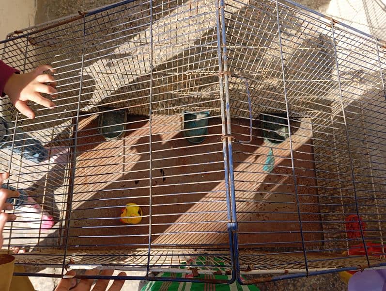 birds cage for sale 2