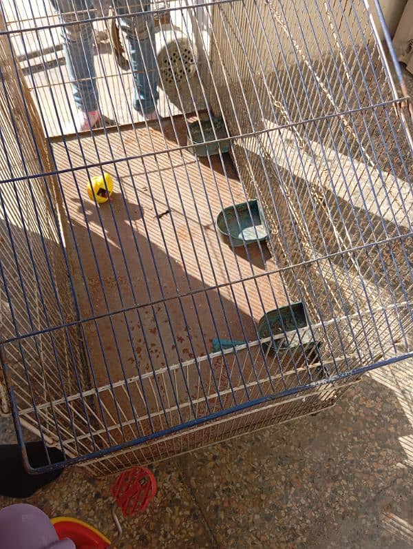 birds cage for sale 3