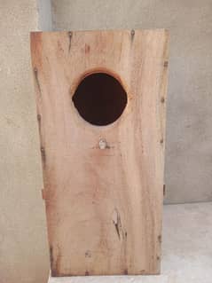 Parrot box