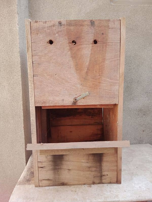 Parrot box 3