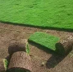 Artifical Grass|Natural Grass|Nursery|Plants|Gardening