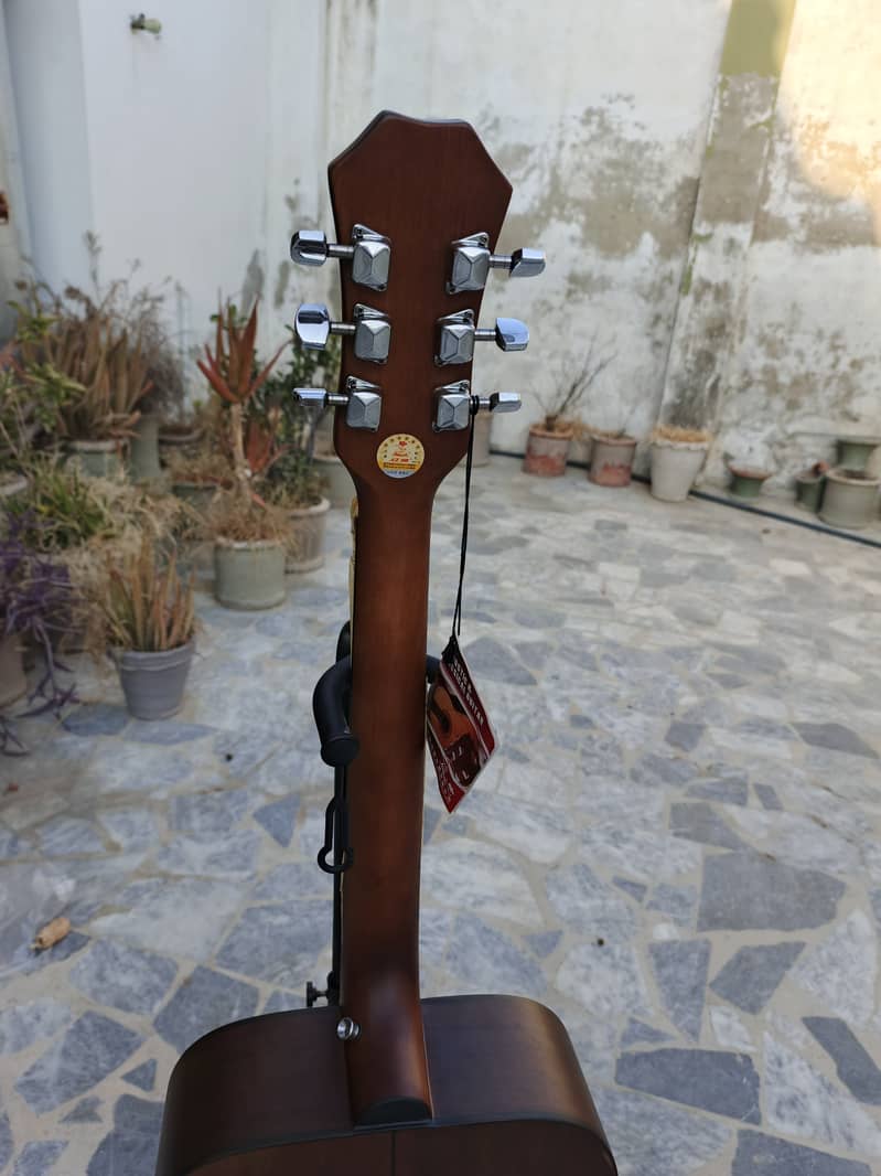 Guitar With Bag and Picks 15