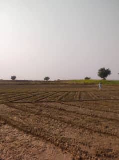 1300 Kanal Agricultural Land For Sale In Chakwal