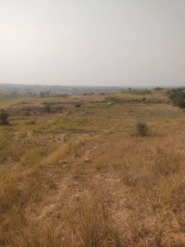 1300 Kanal Agricultural Land For Sale In Chakwal 3