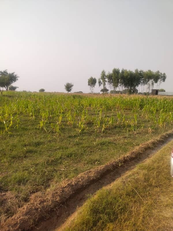 1300 Kanal Agricultural Land For Sale In Chakwal 11