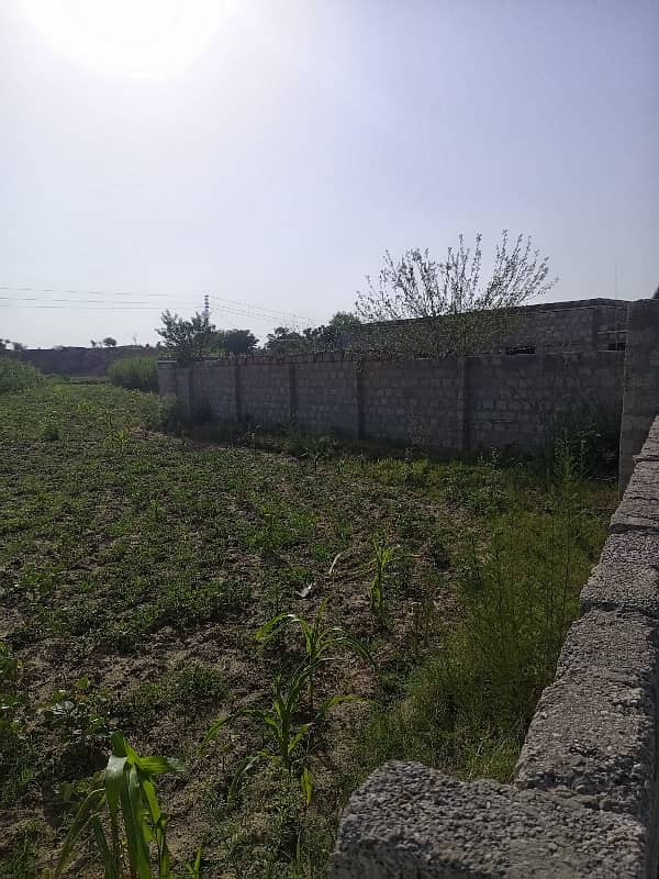 70 Kanal Agriculture Land For Sale In Mangwal 2