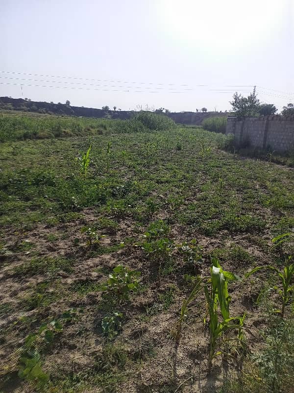 70 Kanal Agriculture Land For Sale In Mangwal 0