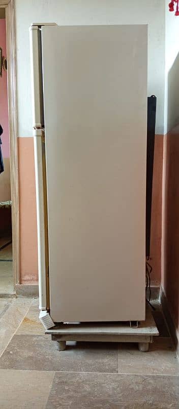 Genuine dawlance Fridge in used,well maintained nd excellent condition 12