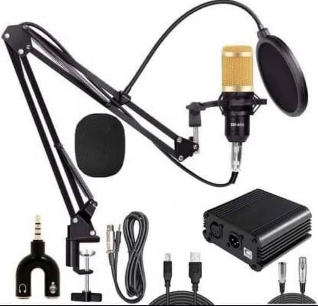 Bm 800 microphone for sale 1