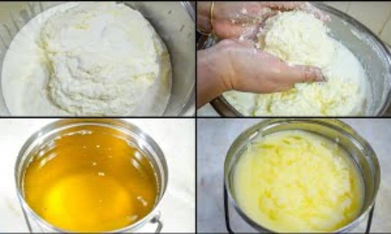 Desi ghee and Makhan (Butter) 2