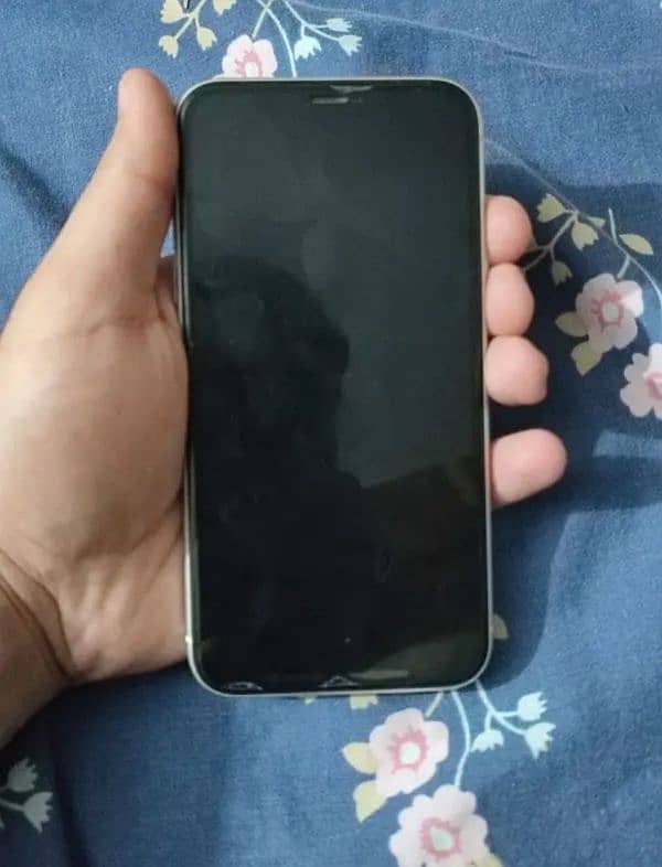 iPhone 11 non PTA 2