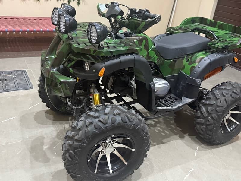 250 cc Automatic Brand New Quad Bike for Adults 0