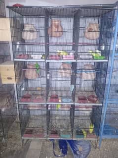 9 portion new cage 2 months use as new contact number 03093166826