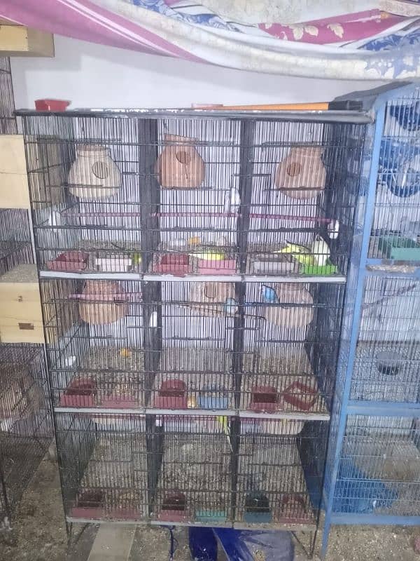 9 portion new cage 2 months use as new contact number 03093166826 4