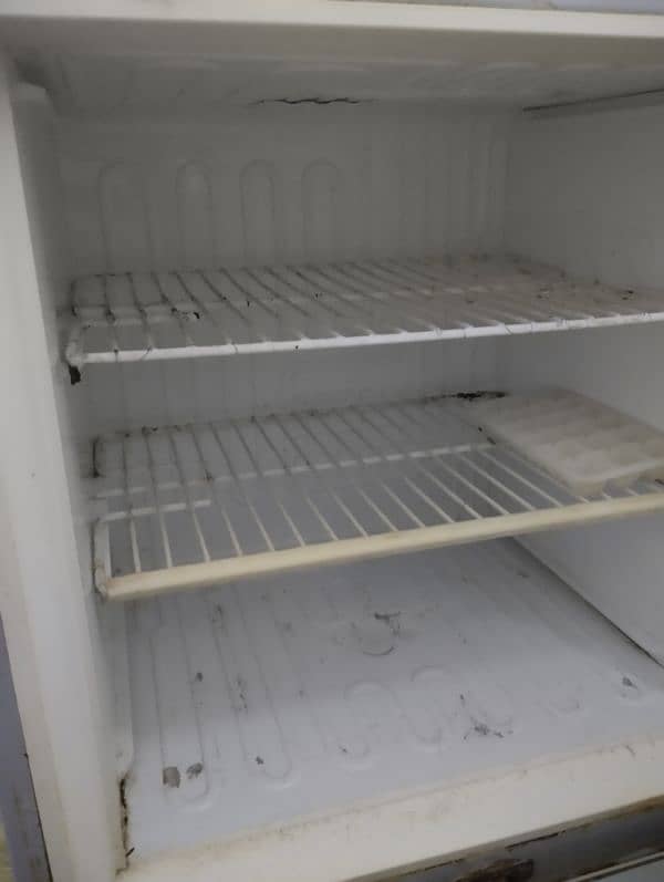 Pel refrigerator 3