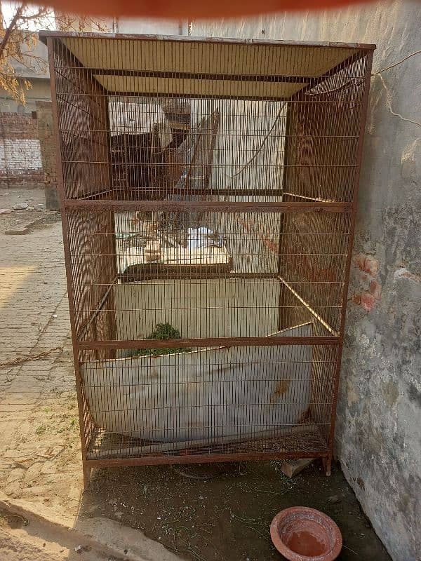 birds or hens cage for sale 1