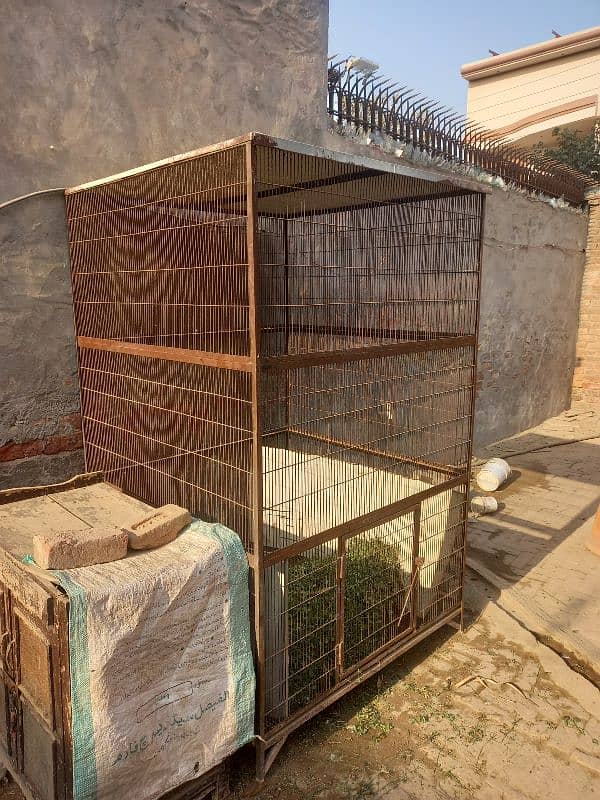 birds or hens cage for sale 2