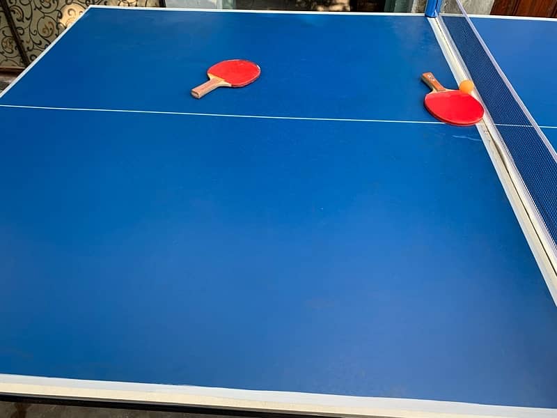 Table Tennis 7