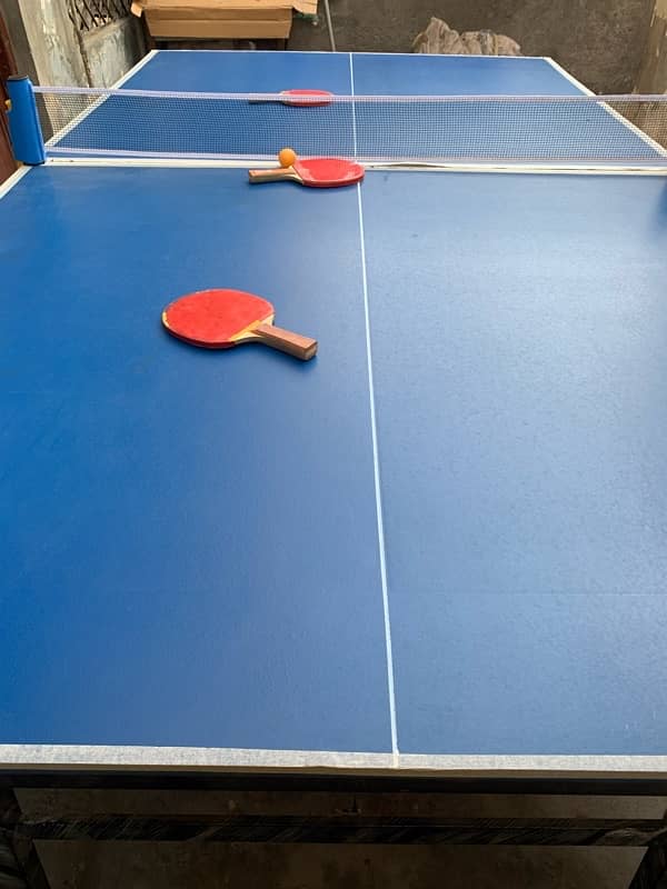 Table Tennis 8