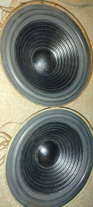 felo 10 inch speaker 2 0