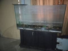 fish tank