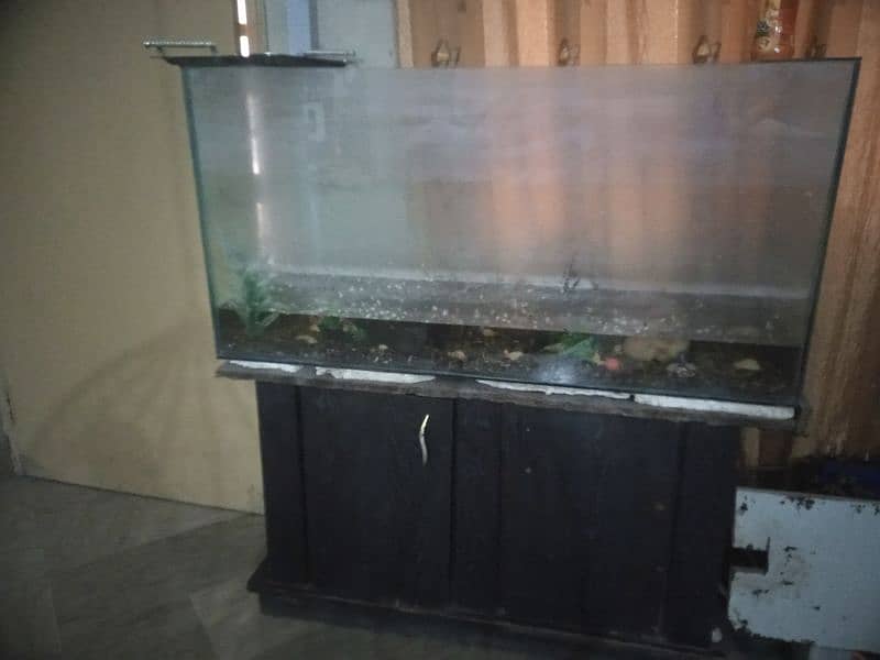 fish tank 0