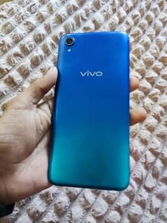 vivo