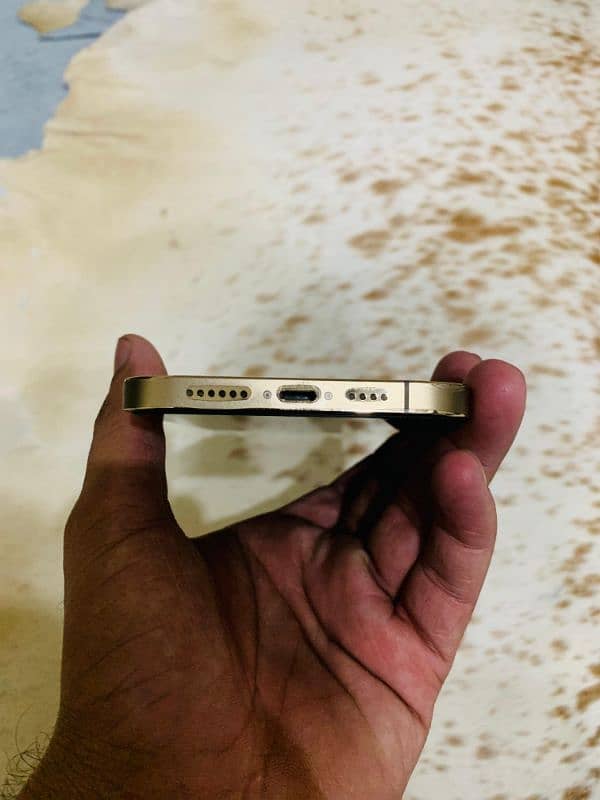 iphone 12 pro max pta approved 4