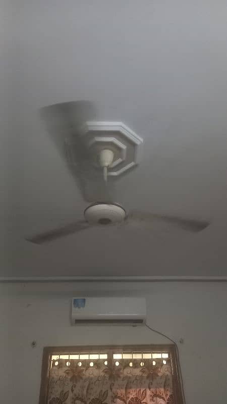 Orient, Pak, Sk ceiling fans 0