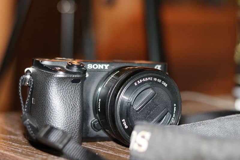 Sony Alpha 6300 LCD Not working 2