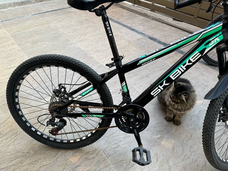 Sk bicycle for sale 6